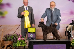 2023-04-Lizard-G3-adj