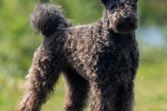 2023-07-Coos-1-cropped