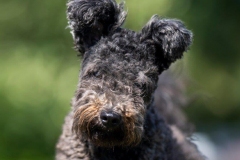 2023-07-Coos-2-cropped