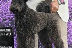 2023-07-Hurricane-Ridge-KC-OH-G2-Cropped