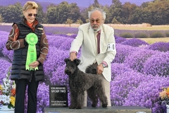 2023-07-Hurricane-Ridge-KC-OH-G2