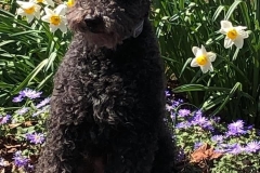 166819182_10208282521297246_308798277647825187_n