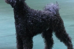 72421849_2793232010689108_9040648404207665152_o