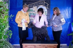 72619810_2792853164060326_3706158813368287232_o