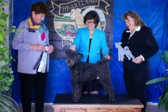 73497939_2792849364060706_240694451213697024_o