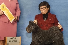 81542670_10206545869002024_2547369369822822400_n