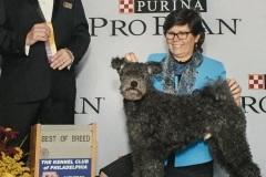 82211048_10206545859721792_7591807737420316672_n