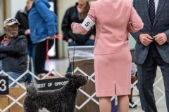 90924820_10206877065801737_330142127314960384_n