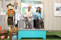 PBL23PUMI2-0004-COMP