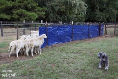 14938270_324032121315192_1414510117770340109_n