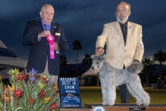 2018-01-KC-Palm-Springs-OH-RBIS-Cook