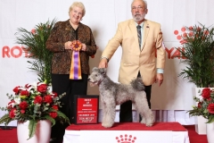 2018-12-Sunshine-State-Herding-Group-BOB