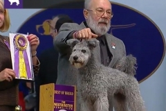 2019-Westminster-KC-1