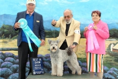 2021-07-Hurricane-Ridge-OHBIS