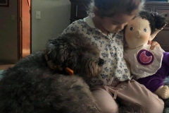 120640476_1430719947134183_6344308935363694663_n