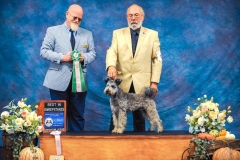 2018-10-HPCA-Best-in-Sweeps