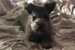 65271318_883526458652608_7707643263091474432_n