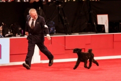 2018-12-AKC-Candid-Miguel