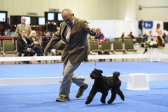 2018-12-Brevard-KC-Candid