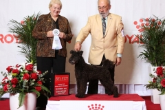 2018-12-Sunshine-State-Herding-Group-SD