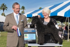 2018-Palm-Springs-BOW-BOS-Teddy-Large