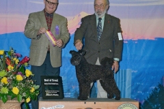 2019-01-DFAO-BOB