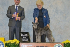 2022-10-Vancouver-KC-BOB-adj