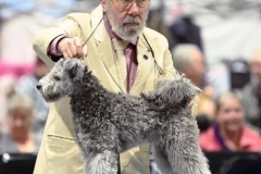 2023-01-Rose-City-Classic-Cropped