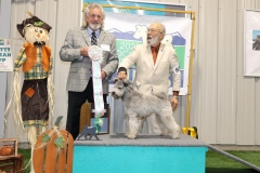 PBL23PUMI2-0009-COMP